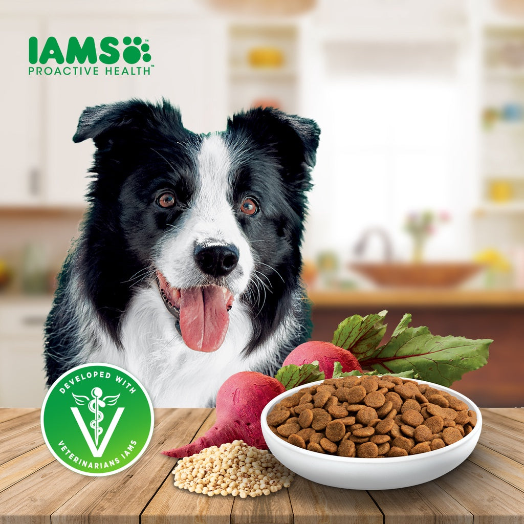 IAMS Proactive Health Premium Dog Dry Food for Adult Dogs 1.5kg/3KG