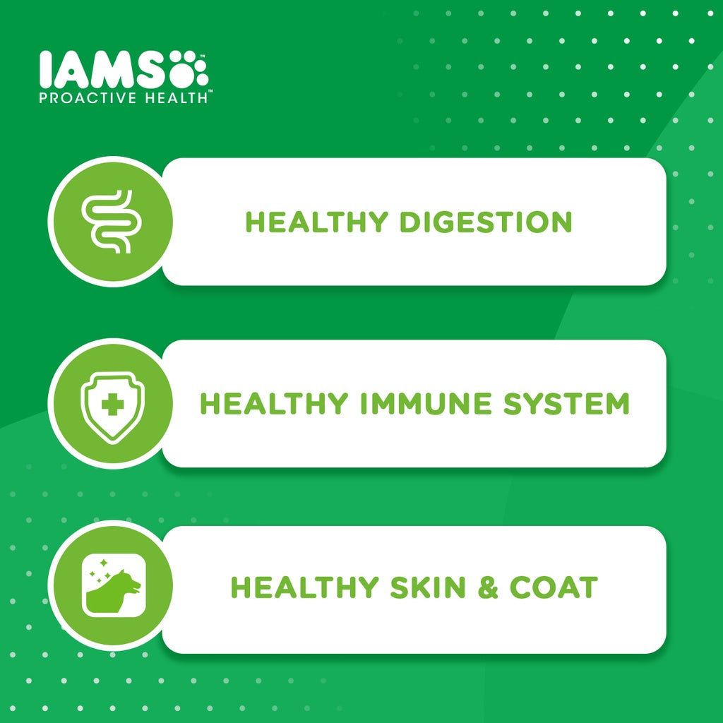 IAMS Proactive Health Premium Dog Dry Food for Adult Dogs 1.5kg/3KG