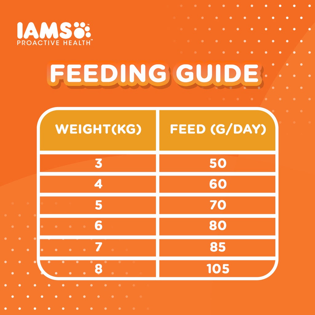 IAMS Premium Cat Dry Food in Chicken Flavor 1kg/3KG