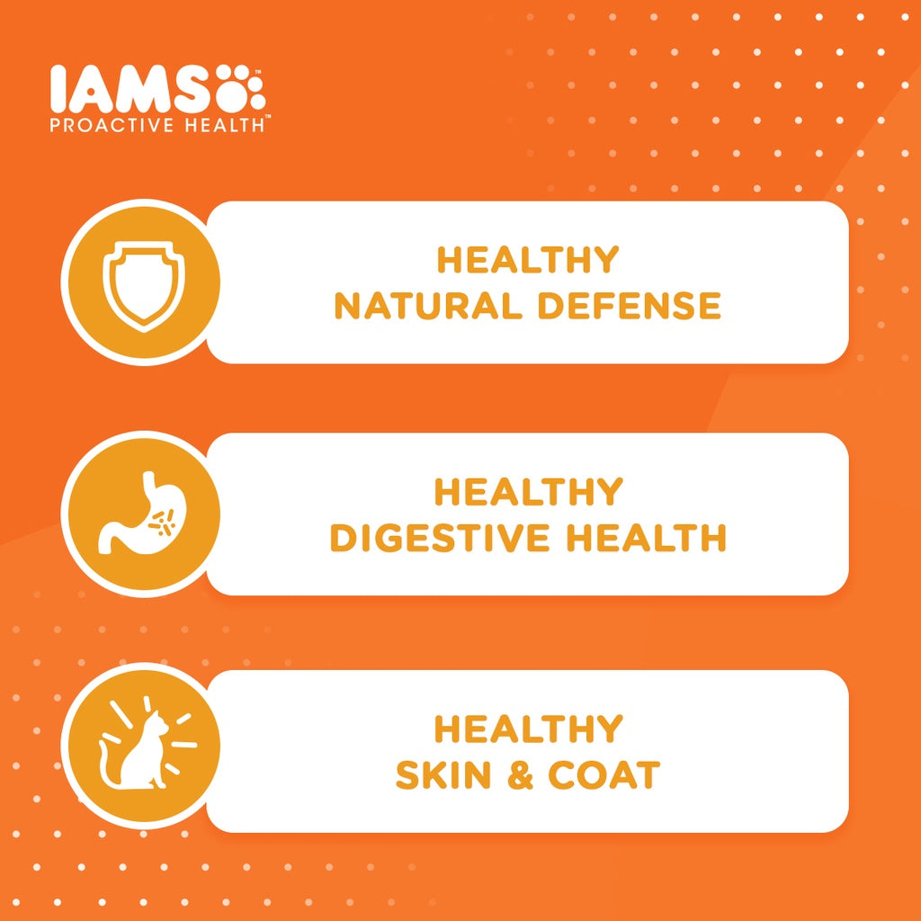 IAMS Premium Cat Dry Food in Chicken Flavor 1kg/3KG