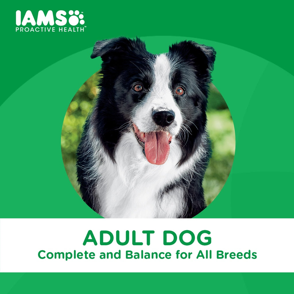 IAMS Proactive Health Premium Dog Dry Food for Adult Dogs 1.5kg/3KG