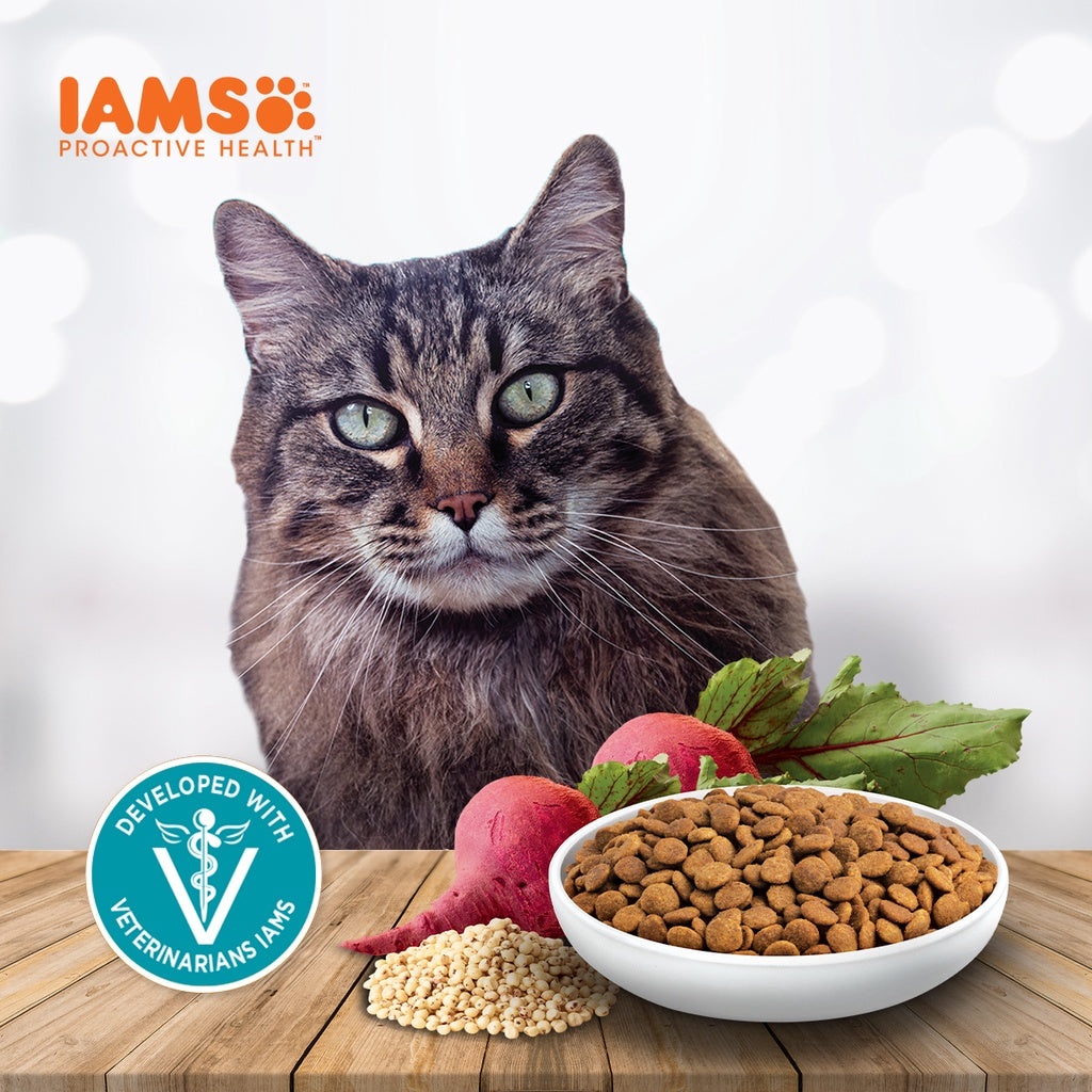 IAMS Premium Cat Dry Food Indoor Weight and Hairball Care in Chicken Flavor 1KG/3KG