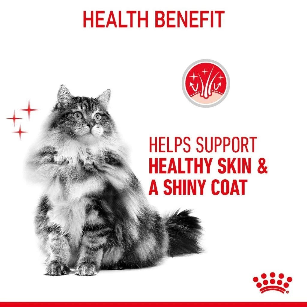 Royal Canin Hair & Skin Gravy (85g x 12 ) Adult Wet Cat Food