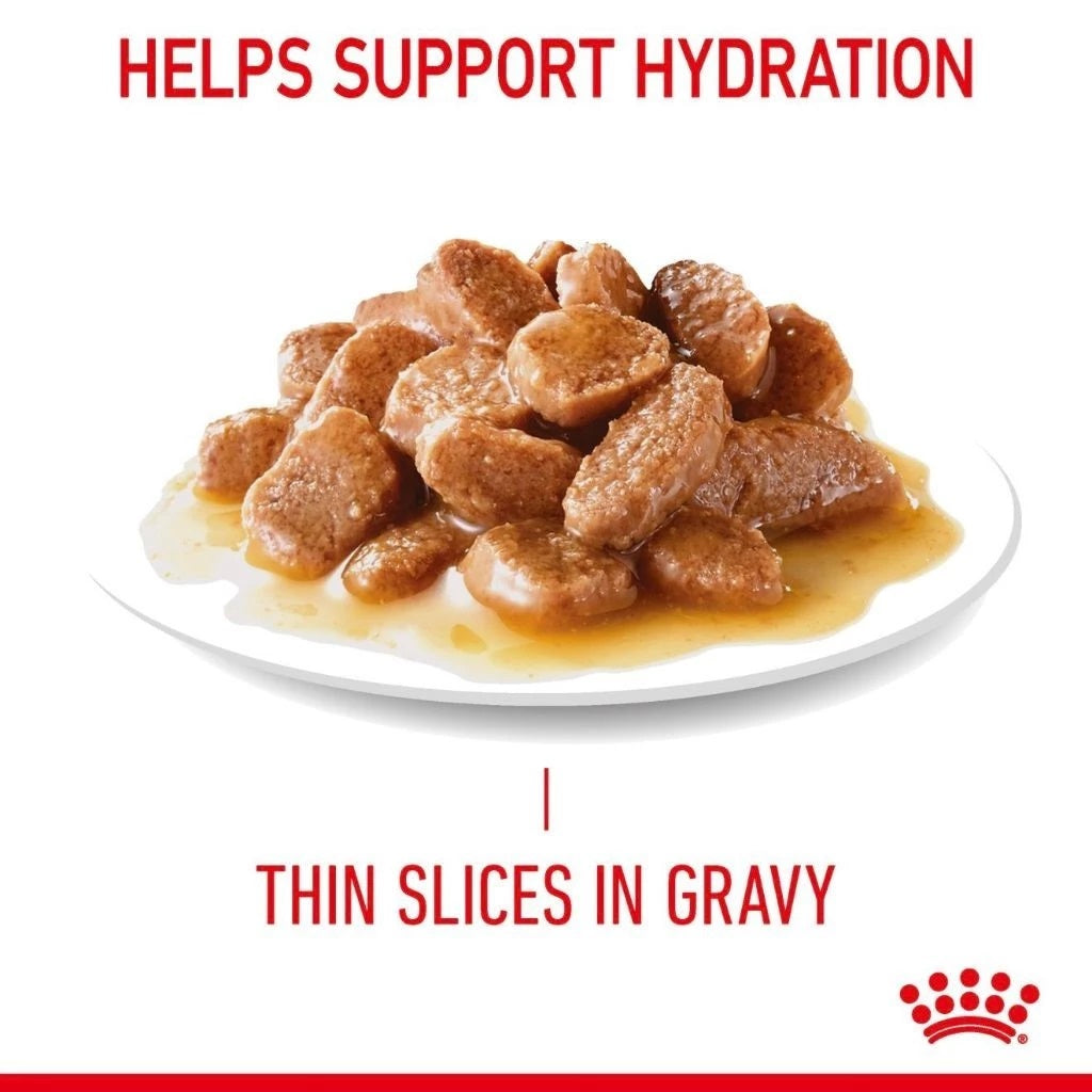 Royal Canin Hair & Skin Gravy (85g x 12 ) Adult Wet Cat Food