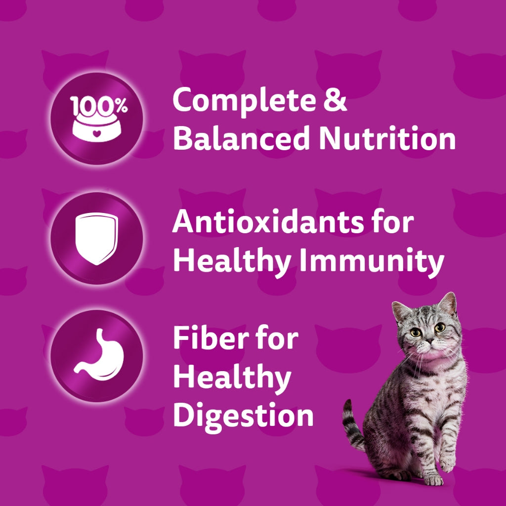 Whiskas Tasty Mix Wet Cat Food in Gravy (14 Pack x 70g)