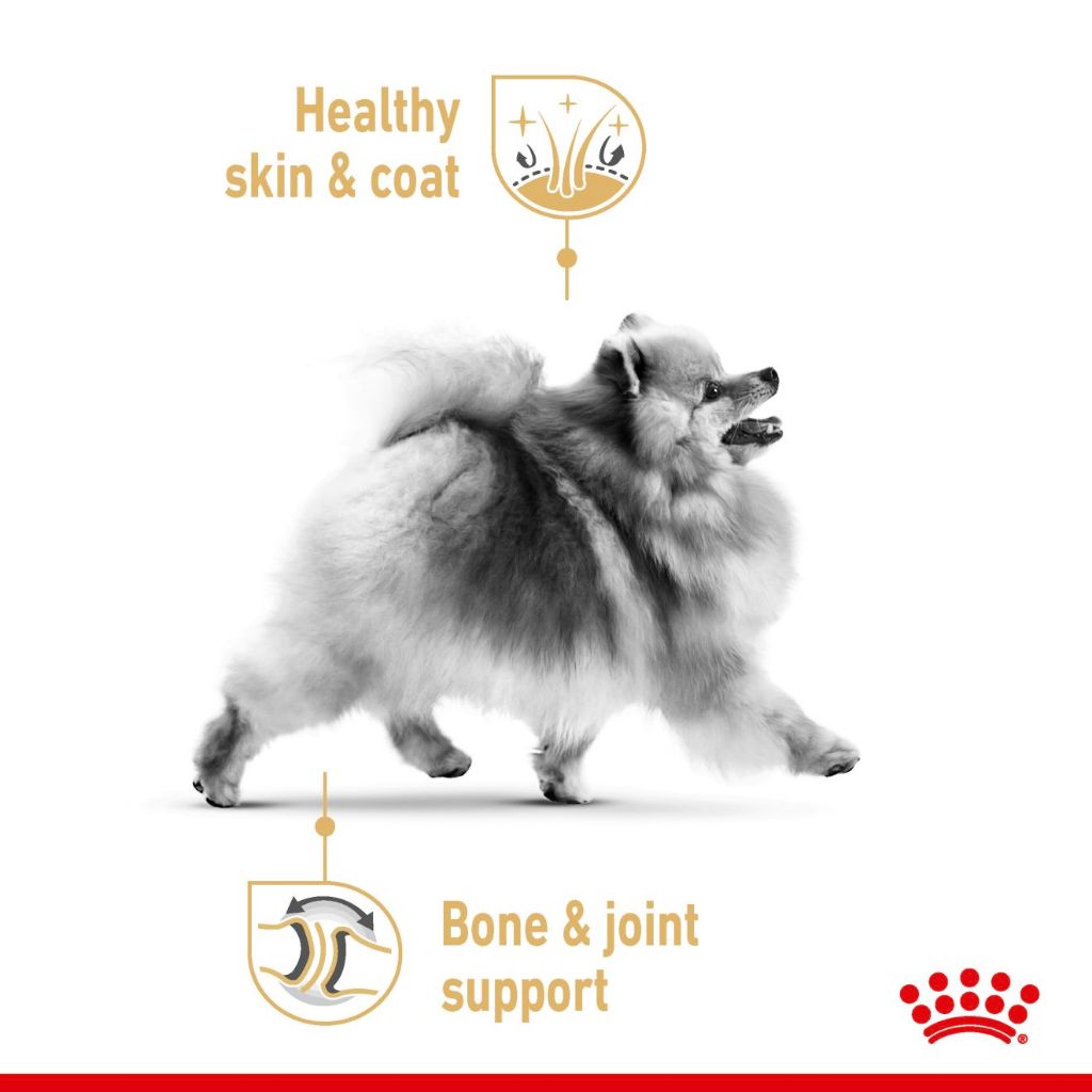 Royal Canin Pomeranian Adult (3kg) Dry Dog Food