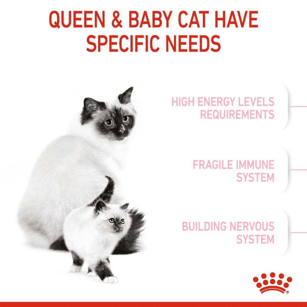 Royal Canin Mother & Babycat 2kg/4KG Dry Cat Food