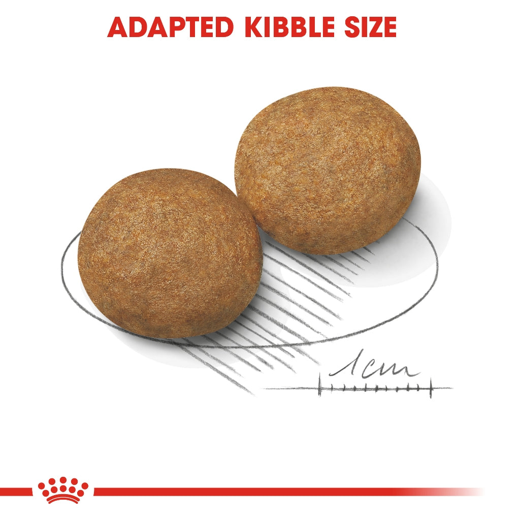 Royal Canin Medium Adult (4kg) Dry Dog Kibble Food