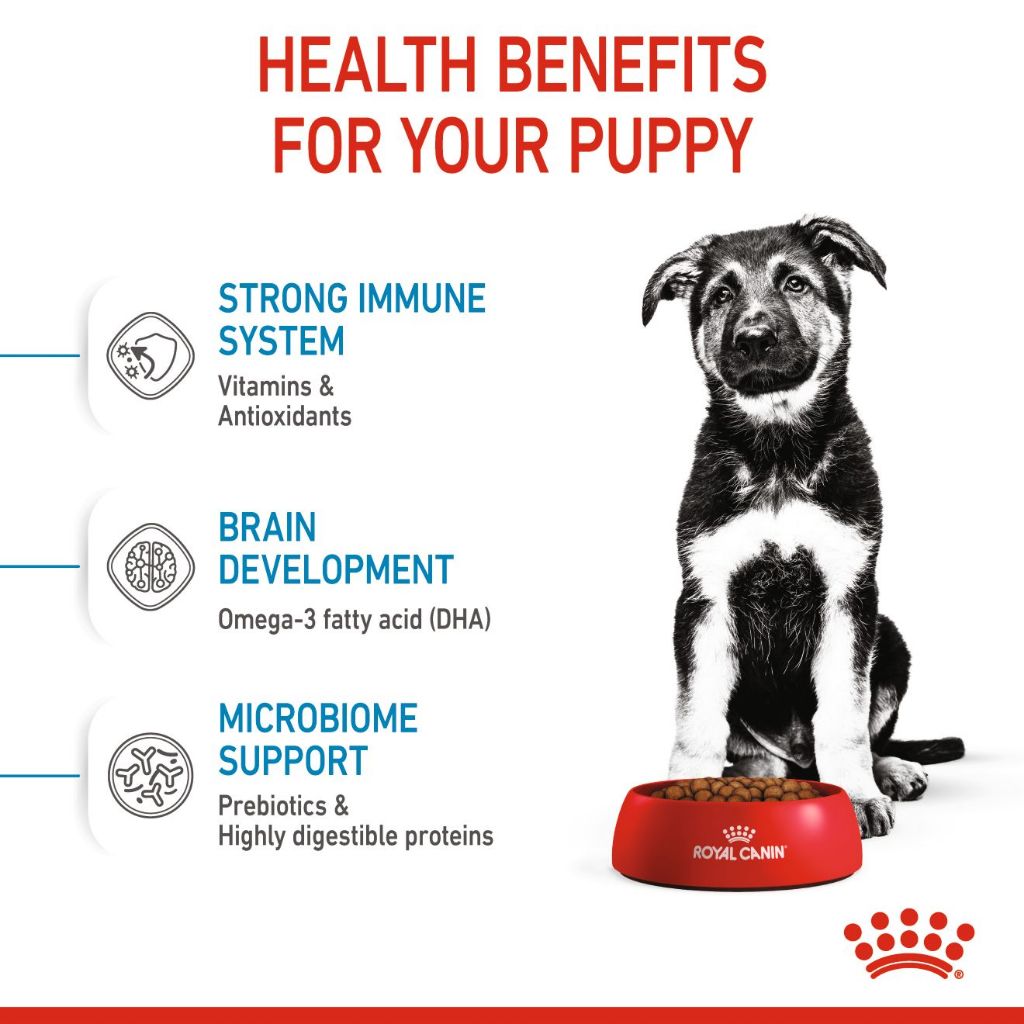Royal Canin Maxi Puppy Dry Dog Food (4kg)