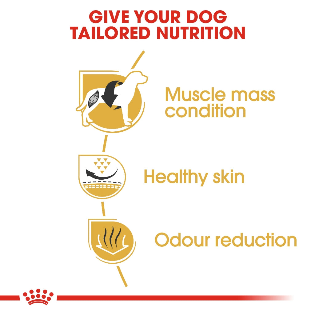 Royal Canin French Bulldog Adult Dry Dog Food 3KG
