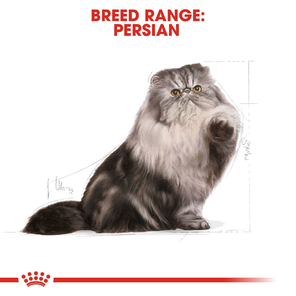 Royal Canin Persian Adult 2KG/4KG Dry Cat Food