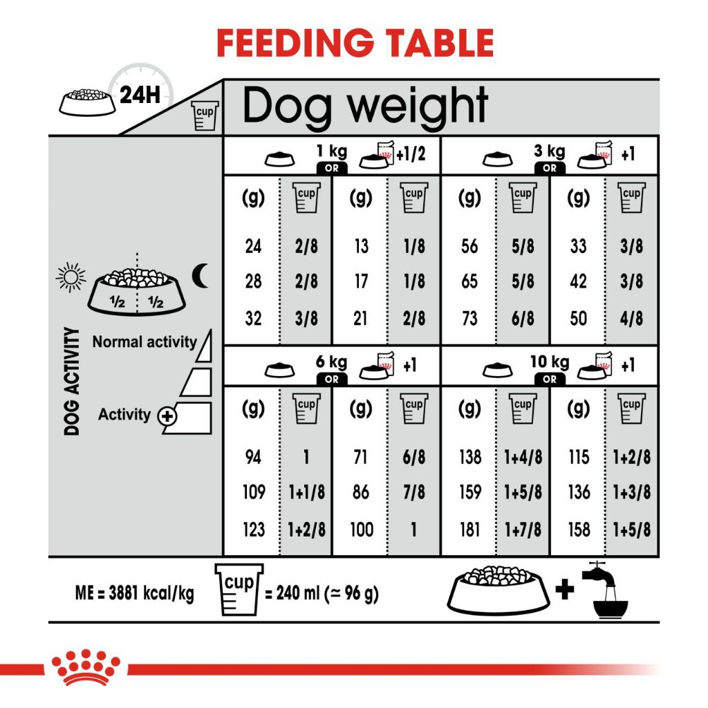 Royal Canin Mini Coat Care Adult (3kg) Dry Dog Food
