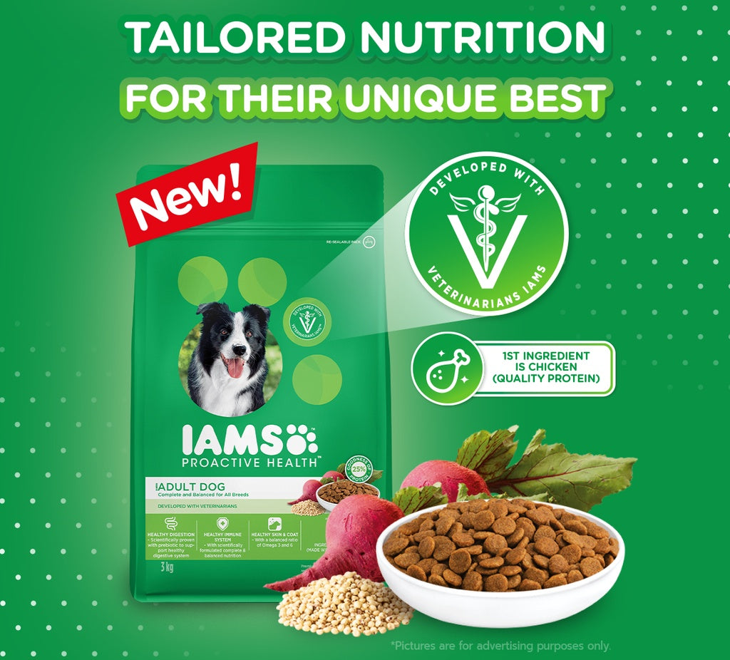 IAMS Proactive Health Premium Dog Dry Food for Adult Dogs 1.5kg/3KG