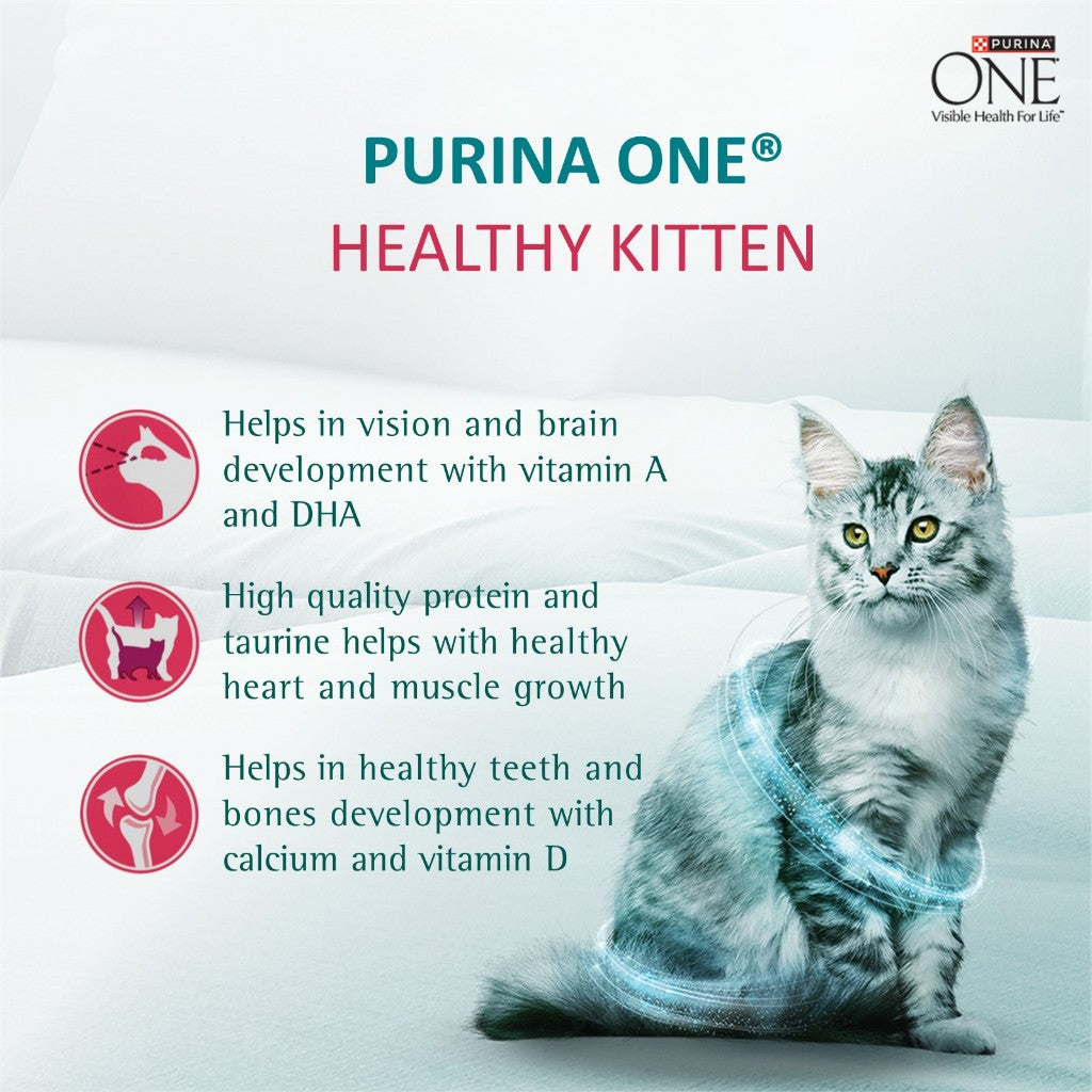 PURINA ONE Adult Dry Cat Food Healthy Kitten 1.2kg