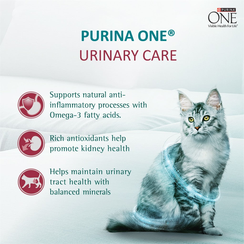 PURINA ONE Adult Dry Cat Food Urinary Care 1.2kg