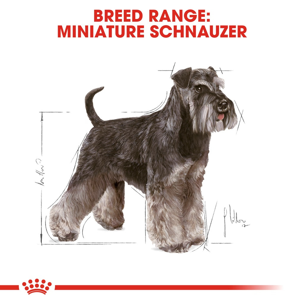 Royal Canin Miniature Schnauzer Adult 3KG Dry Dog Food