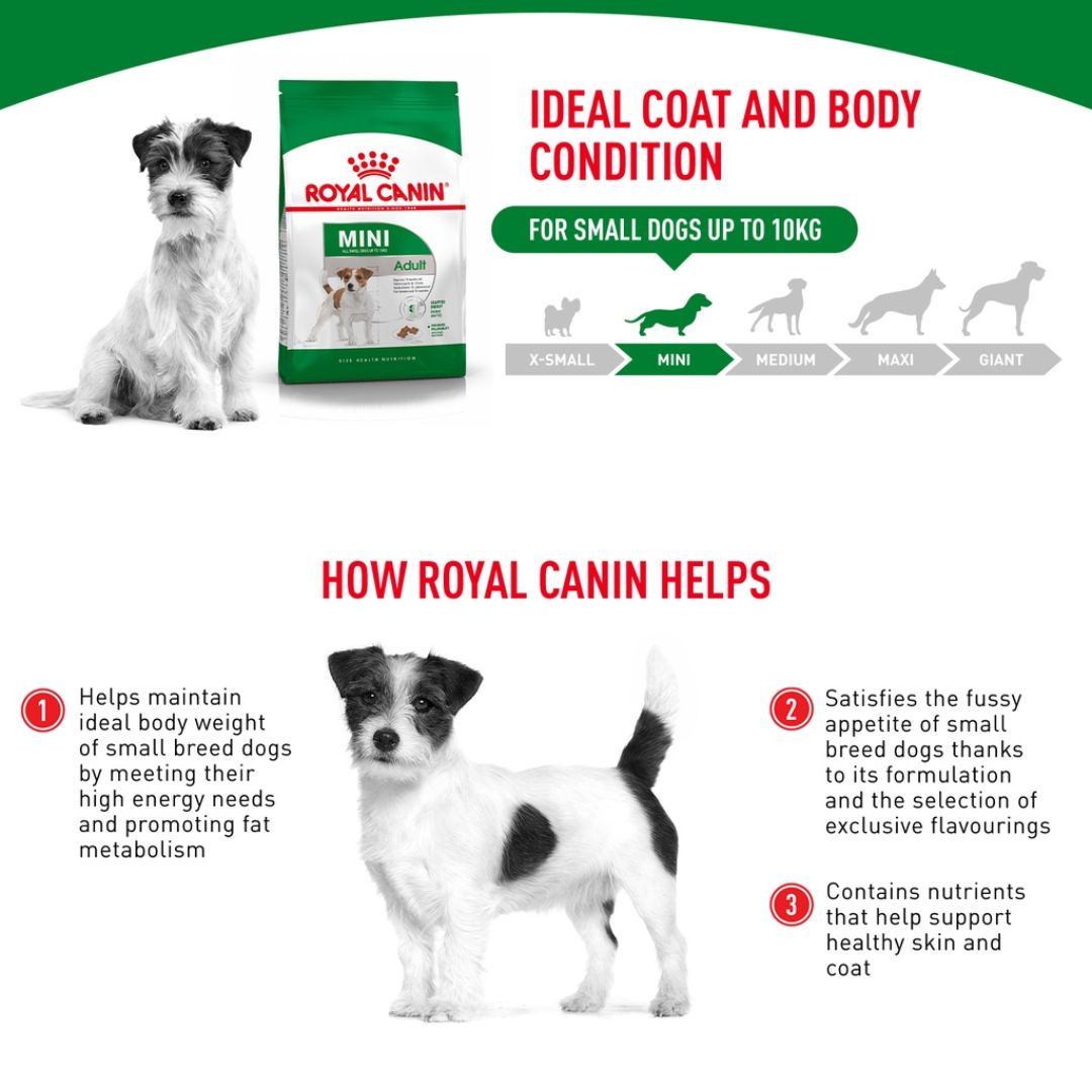 Royal Canin Mini Adult Dog Dry Food 2KG/4KG/8KG