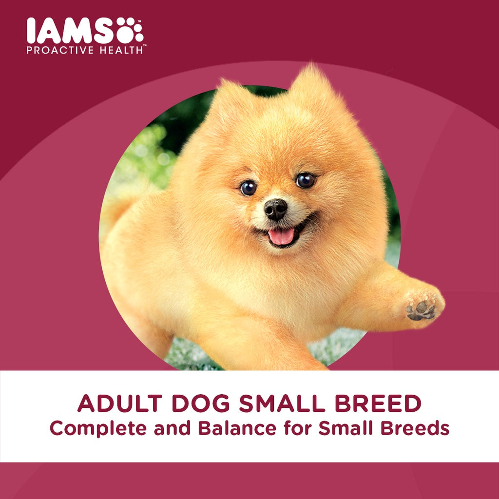 IAMS Premium Dog Food Small Breed Adult Dogs 3kg