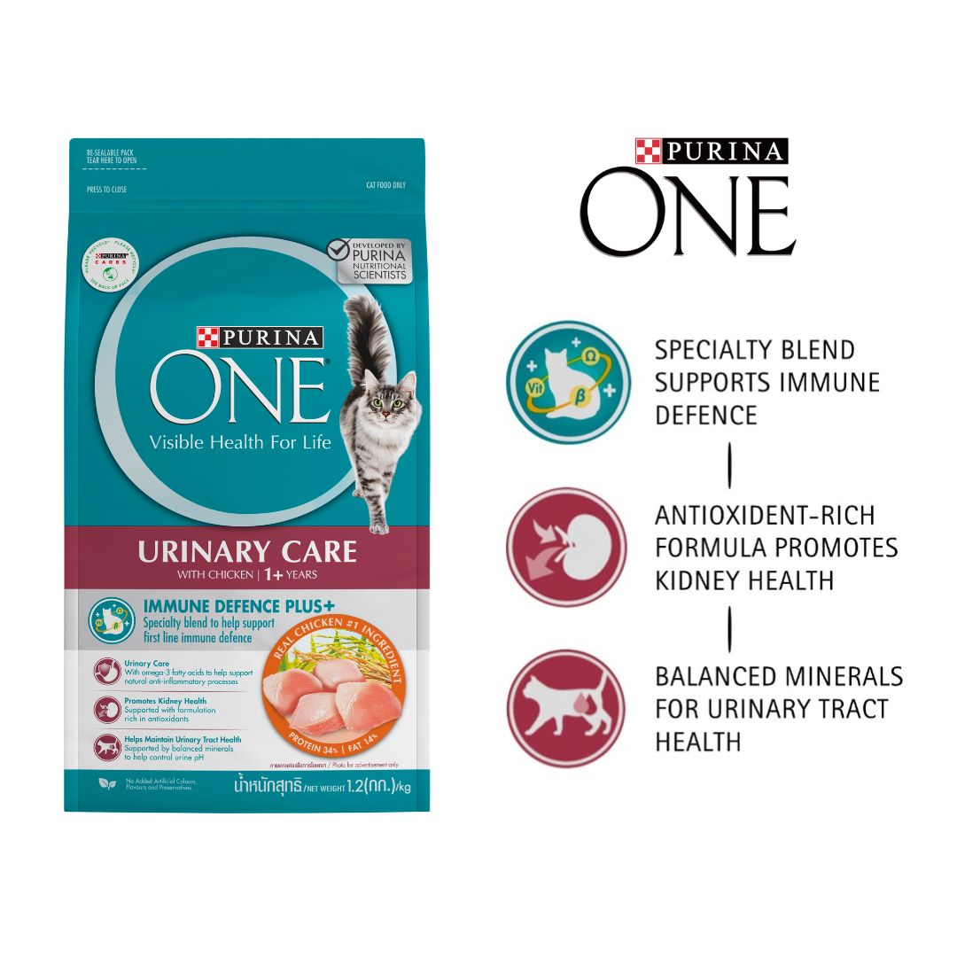 PURINA ONE Adult Dry Cat Food Urinary Care 1.2kg