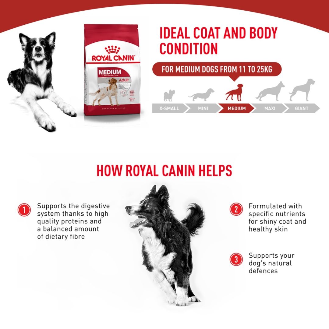 Royal Canin Medium Adult (4kg) Dry Dog Kibble Food