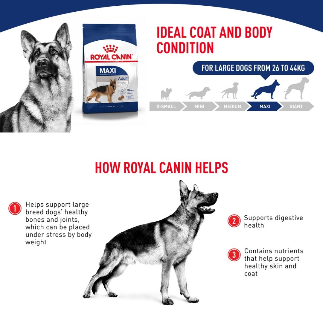 Royal Canin Maxi Adult Dry Dog Food (4kg)