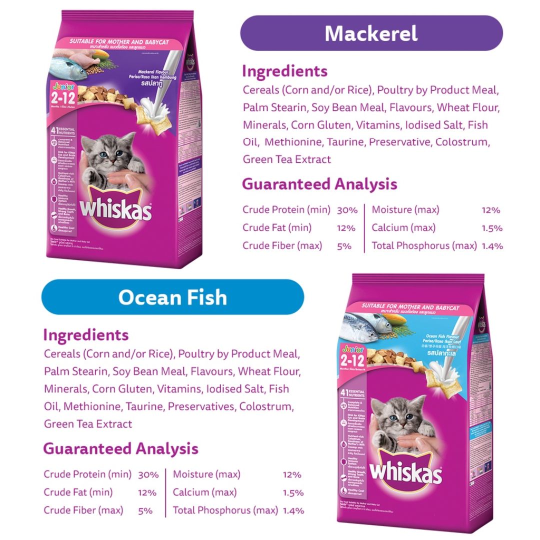 Whiskas Junior Ocean Fish/Mackerel Flavor with Milk Kitten Food Dry Cat Food for Kittens (1.1kg)