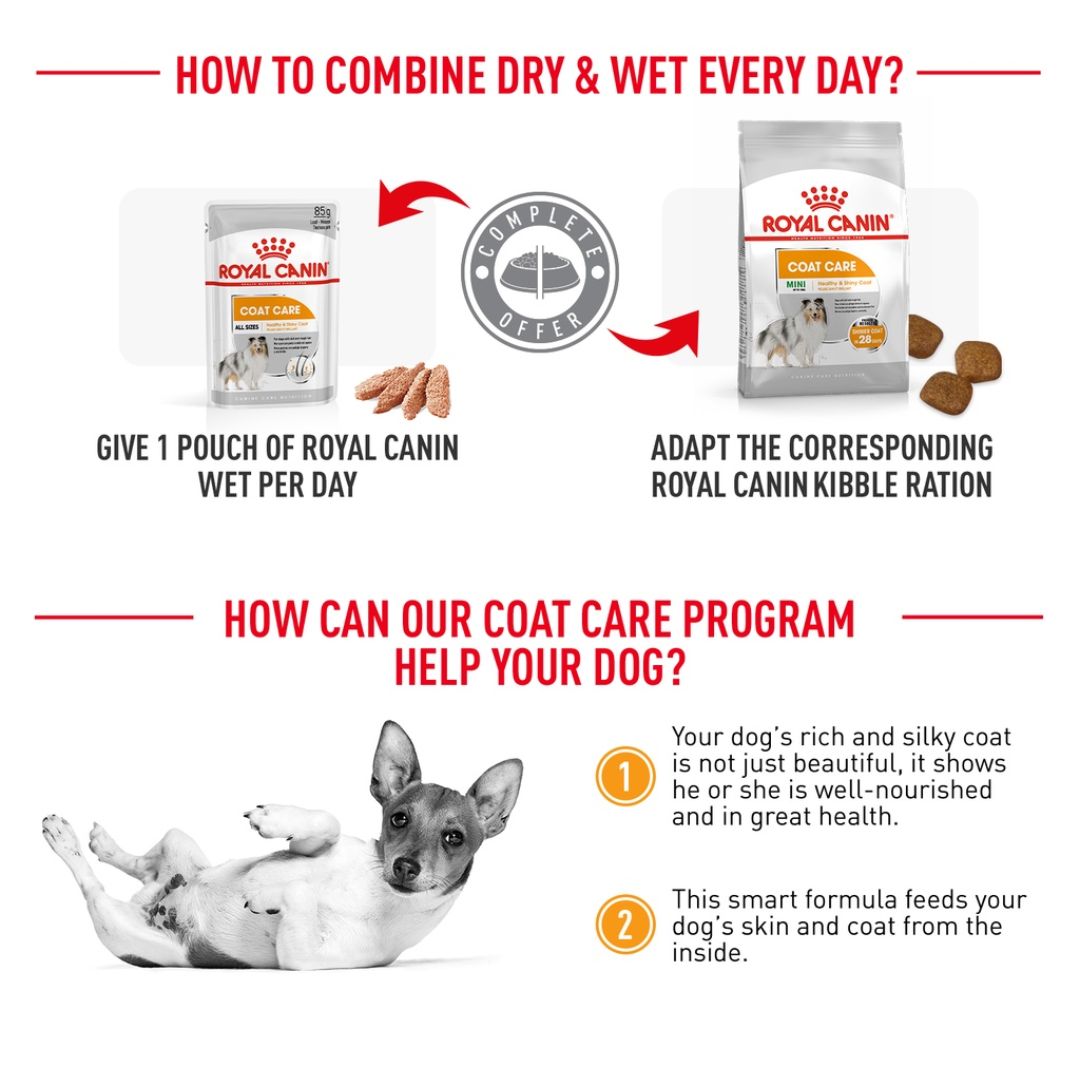 Royal Canin Mini Coat Care Adult (3kg) Dry Dog Food