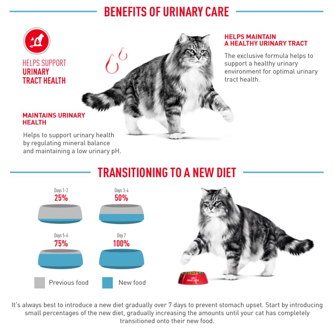 Royal Canin Urinary Care Adult 2kg/4KG Dry Cat Food