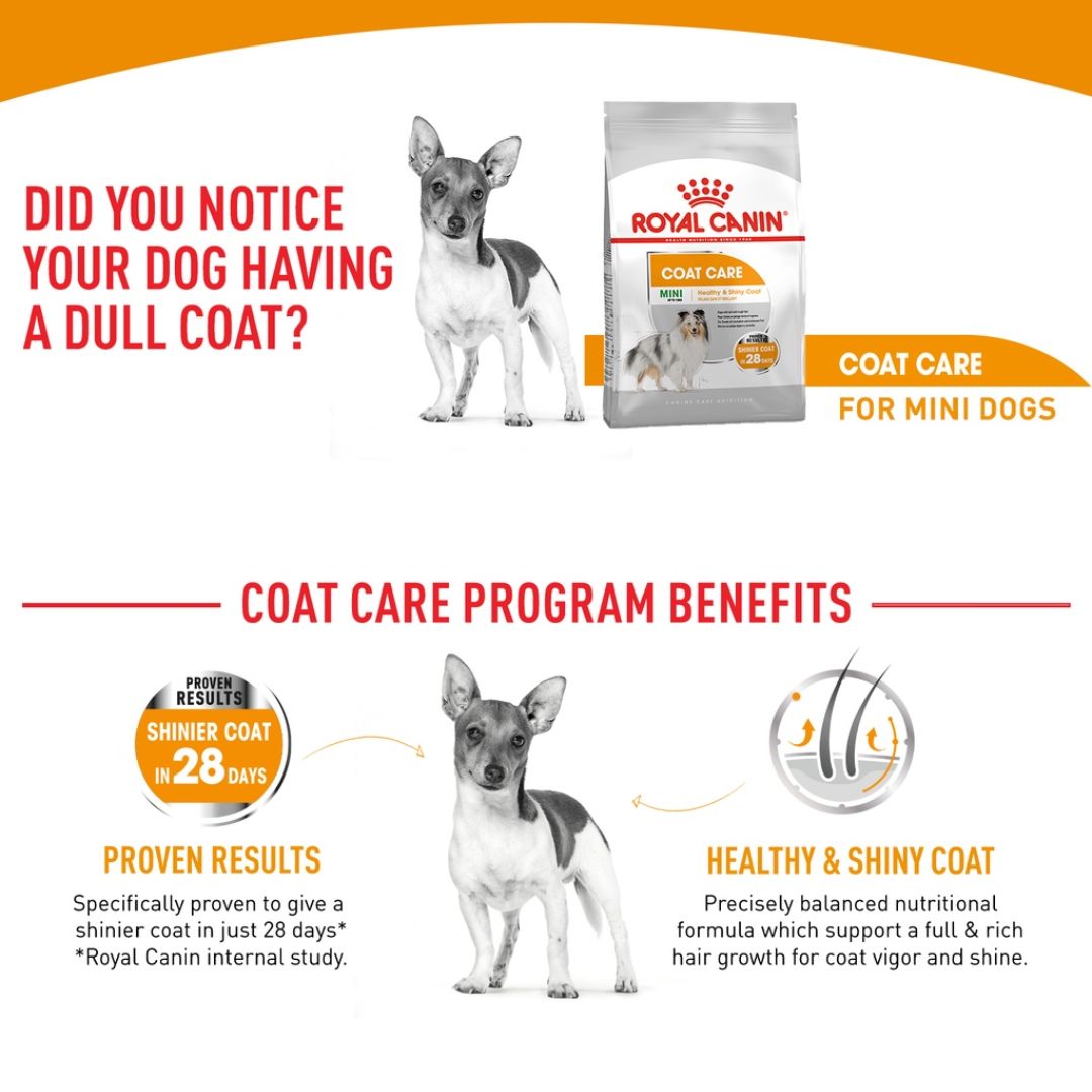 Royal Canin Mini Coat Care Adult (3kg) Dry Dog Food