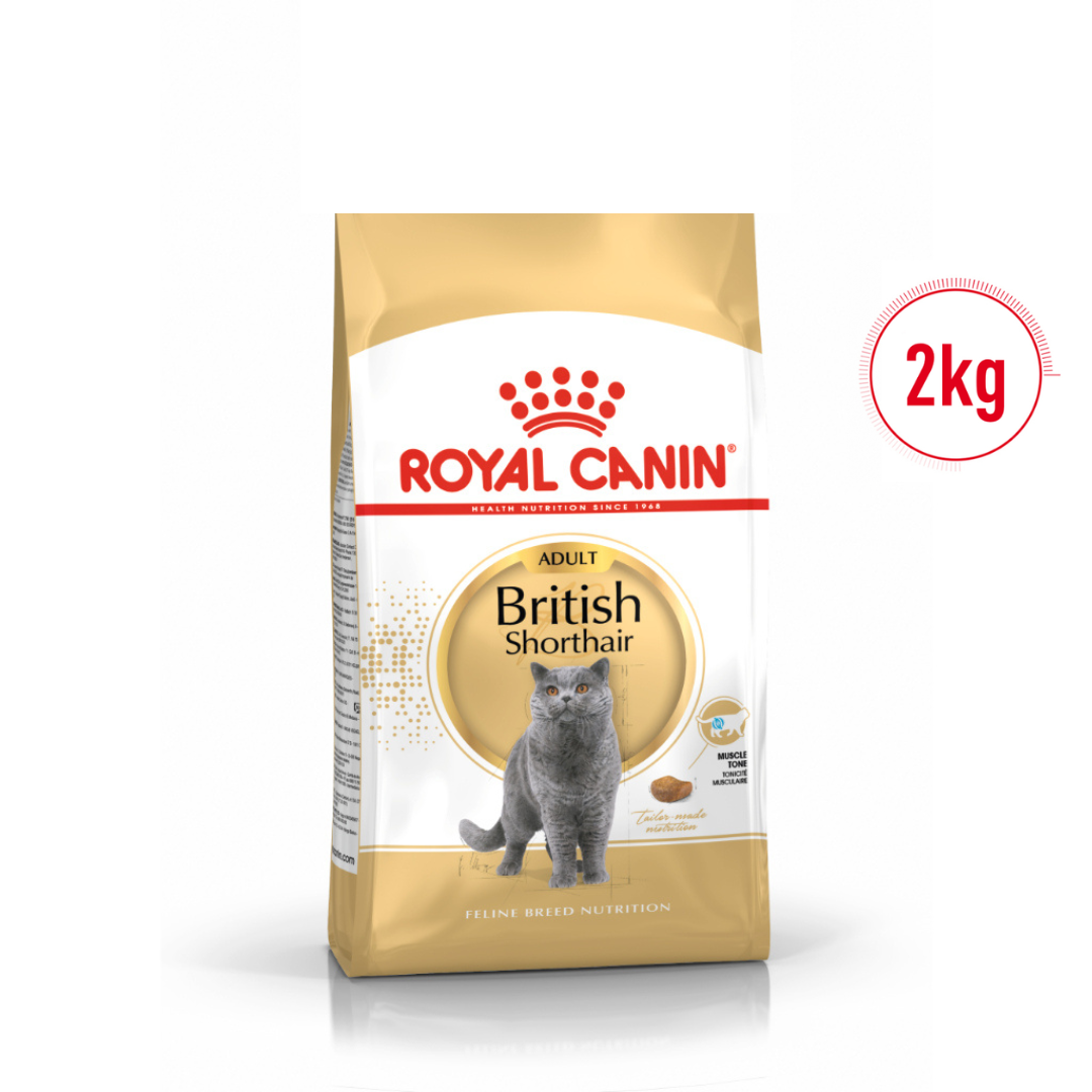 Royal Canin British Shorthair Dry Adult Cat Food 2KG/4KG