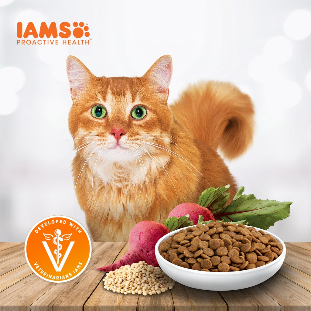 IAMS Premium Cat Dry Food in Tuna and Salmon Meal Flavor 3kg