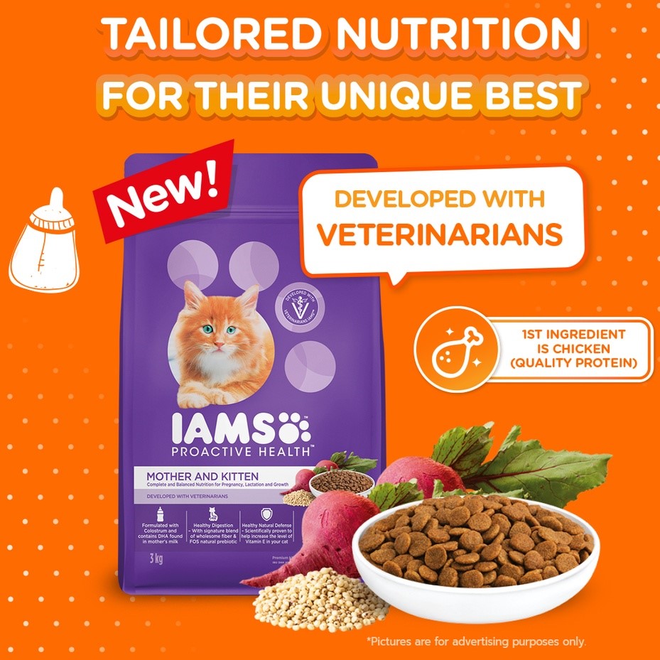 IAMS Premium Cat Dry Food Mother and Kitten in Chicken Flavor 1KG/3KG