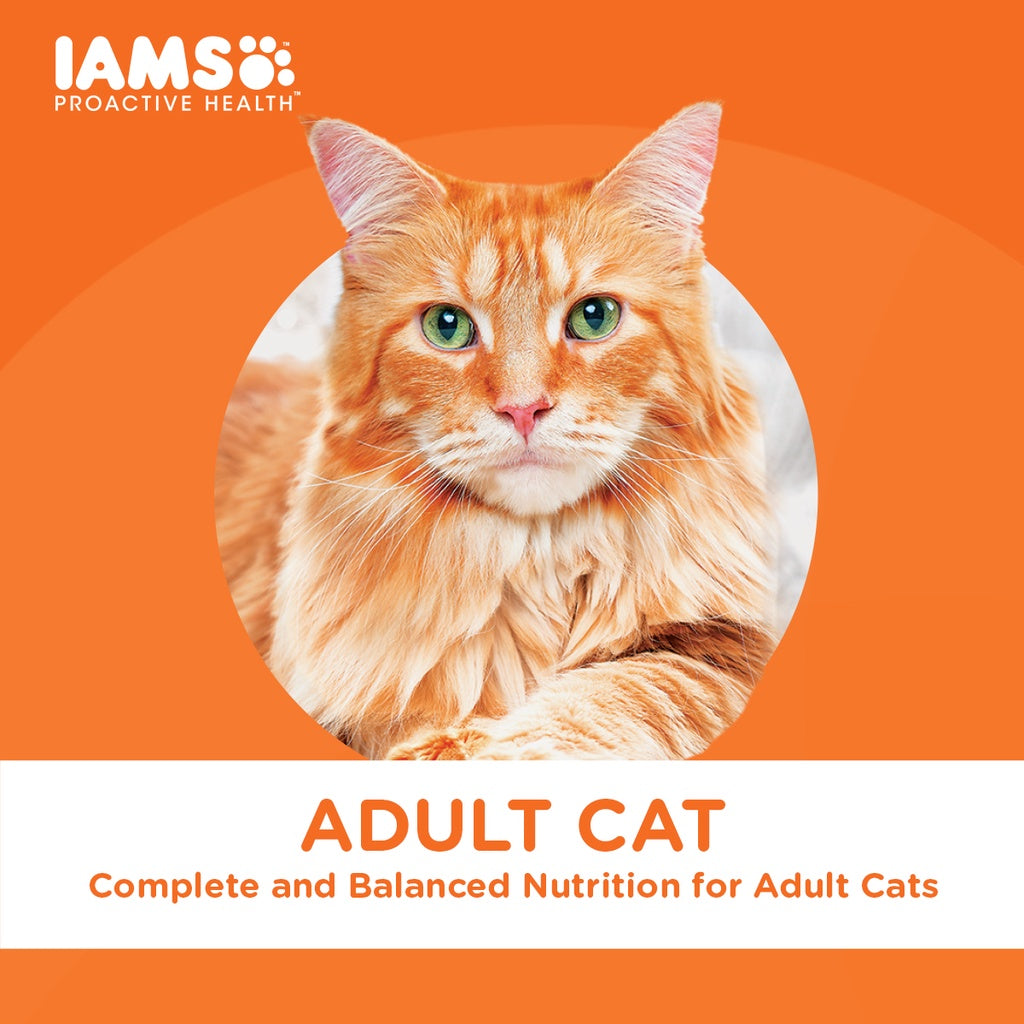 IAMS Premium Cat Dry Food in Tuna and Salmon Meal Flavor 3kg