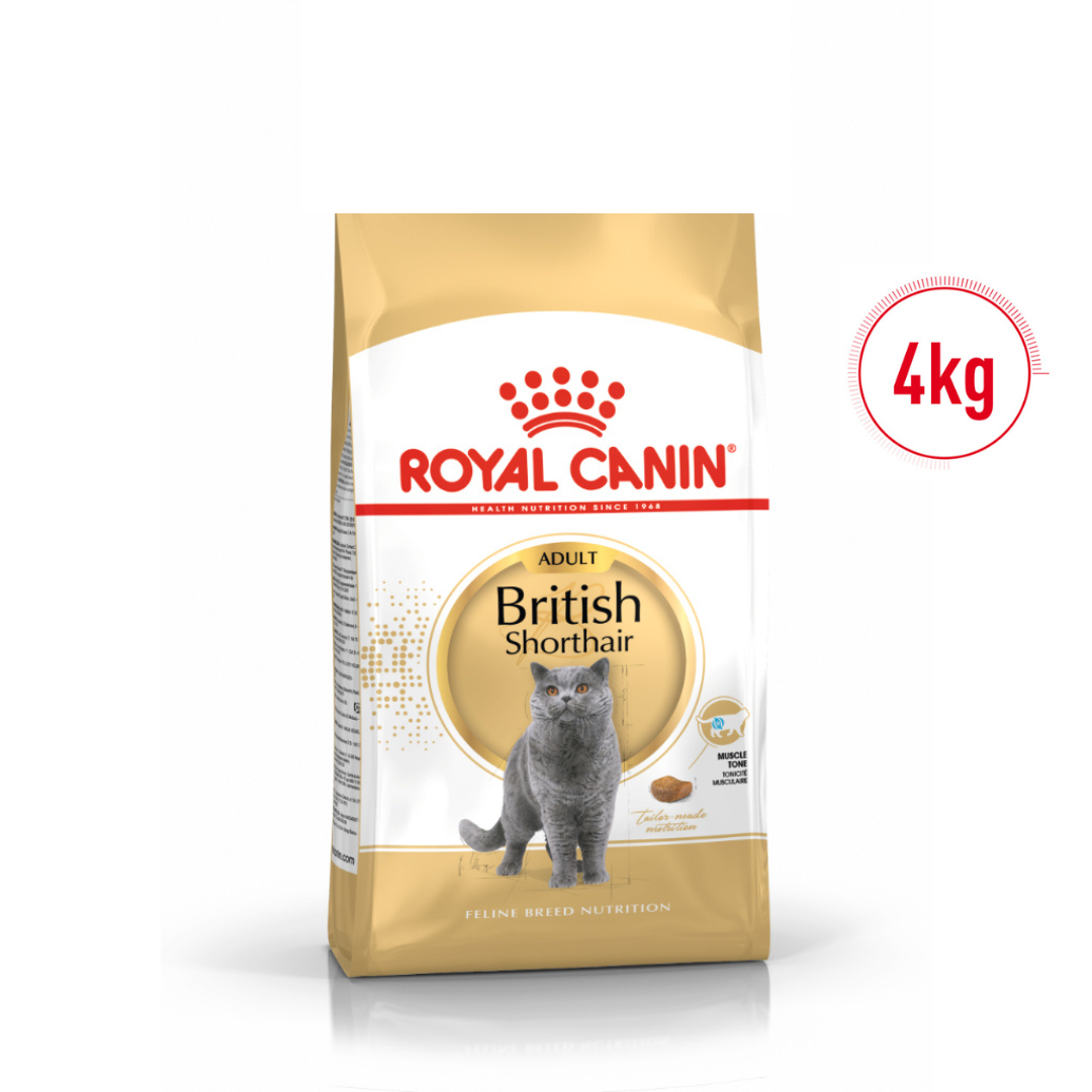 Royal Canin British Shorthair Dry Adult Cat Food 2KG/4KG