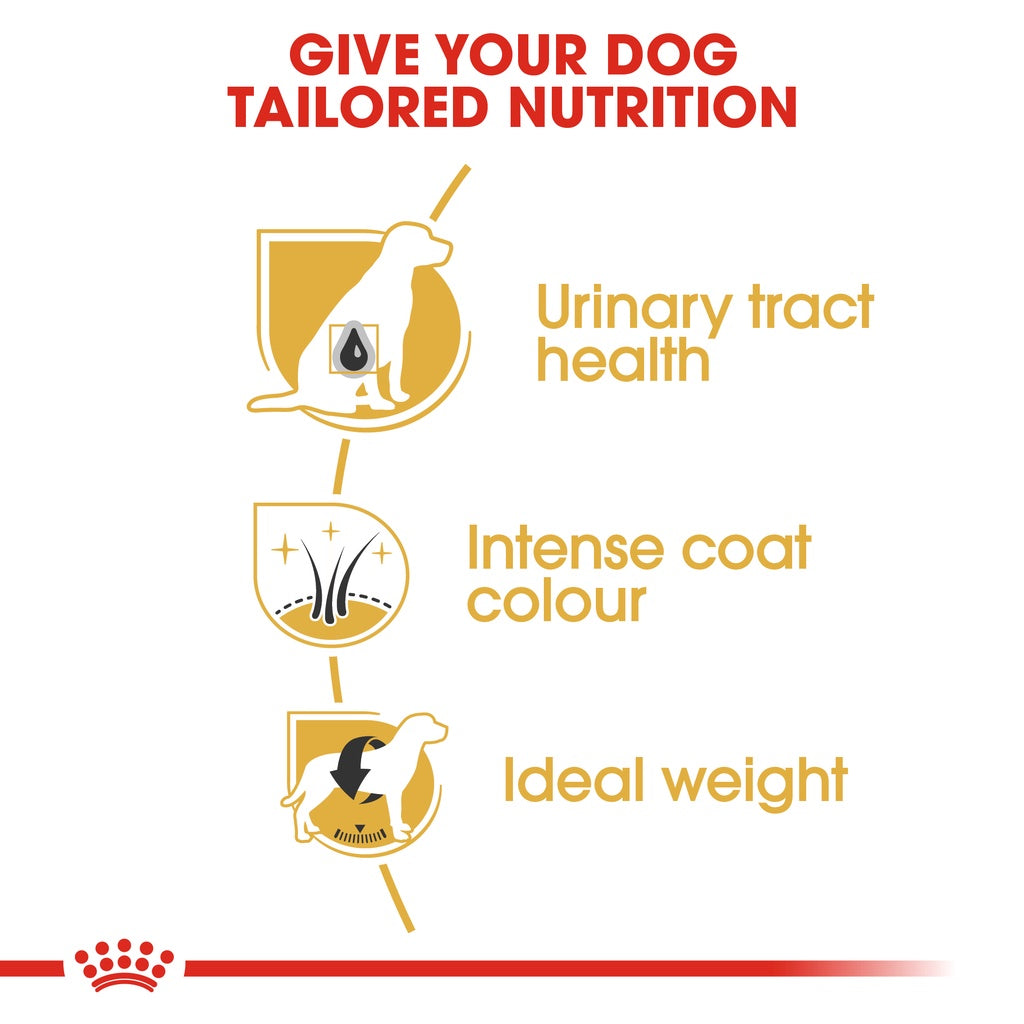 Royal Canin Miniature Schnauzer Adult 3KG Dry Dog Food