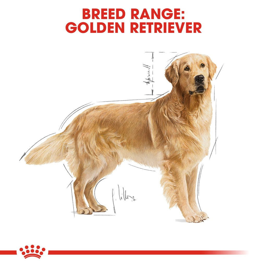 Royal Canin Golden Retriever Adult Dry Dog Food 12KG