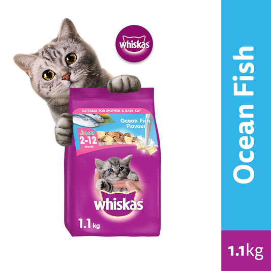 Whiskas Junior Ocean Fish/Mackerel Flavor with Milk Kitten Food Dry Cat Food for Kittens (1.1kg)