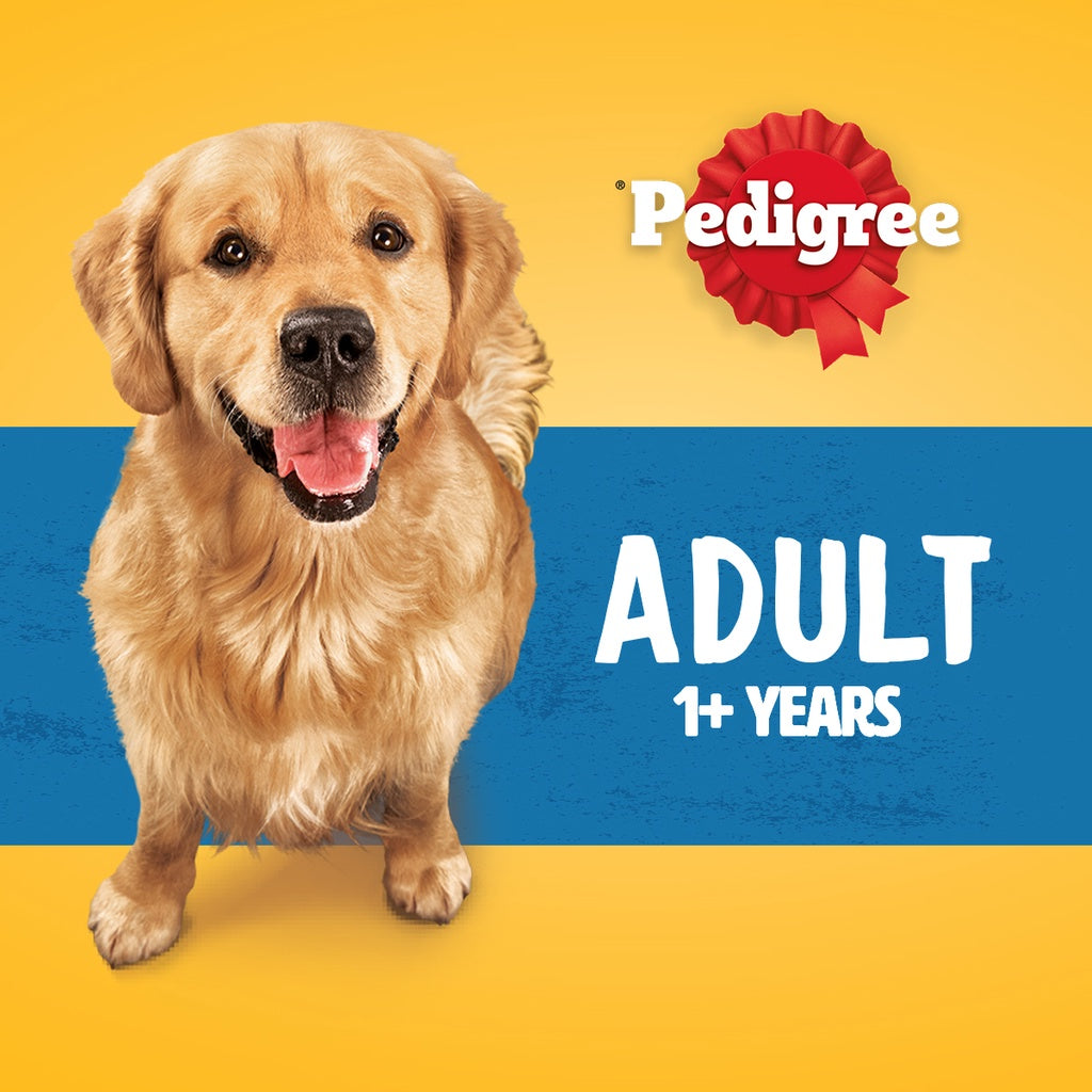 PEDIGREE Dog Dry Food - Beef & Vegetable Flavour 3kg