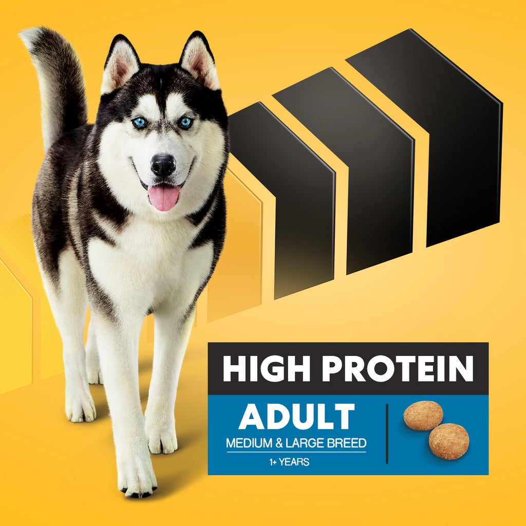 PEDIGREE PRO High Protein Adult Dog Dry Food - Medium & Large Breed Dogs 1.5KG