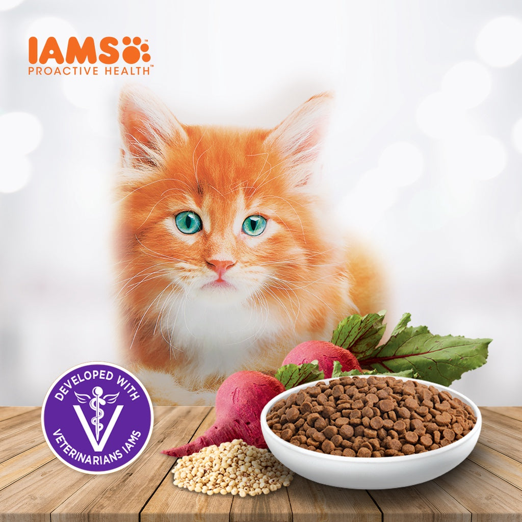 IAMS Premium Cat Dry Food Mother and Kitten in Chicken Flavor 1KG/3KG