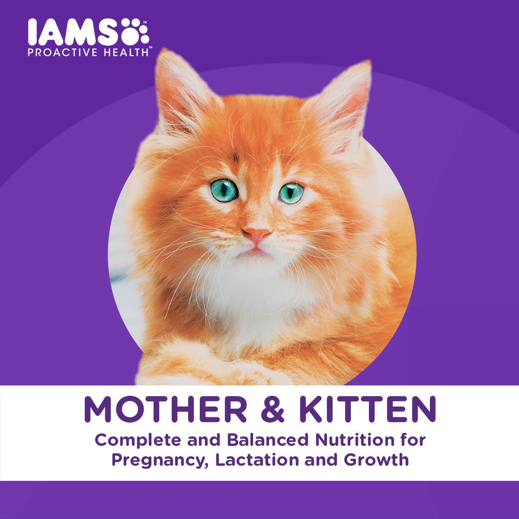 IAMS Premium Cat Dry Food Mother and Kitten in Chicken Flavor 1KG/3KG