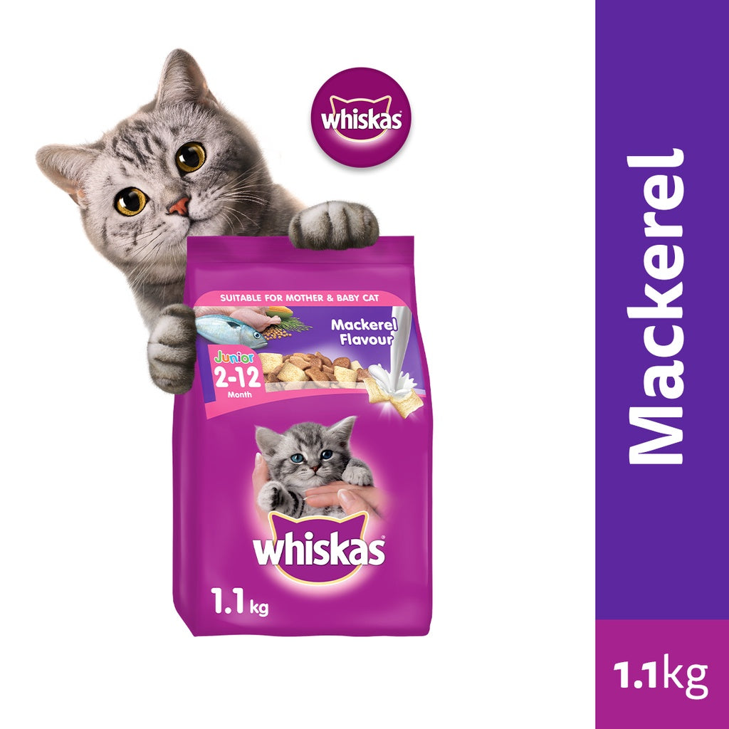 Whiskas Junior Ocean Fish/Mackerel Flavor with Milk Kitten Food Dry Cat Food for Kittens (1.1kg)