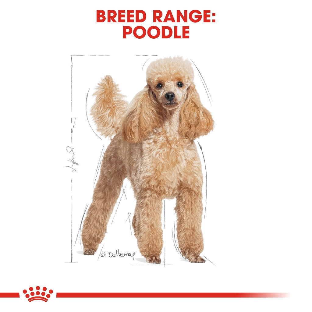 Royal Canin Poodle Adult 1.5KG/3KG Dry Dog Food