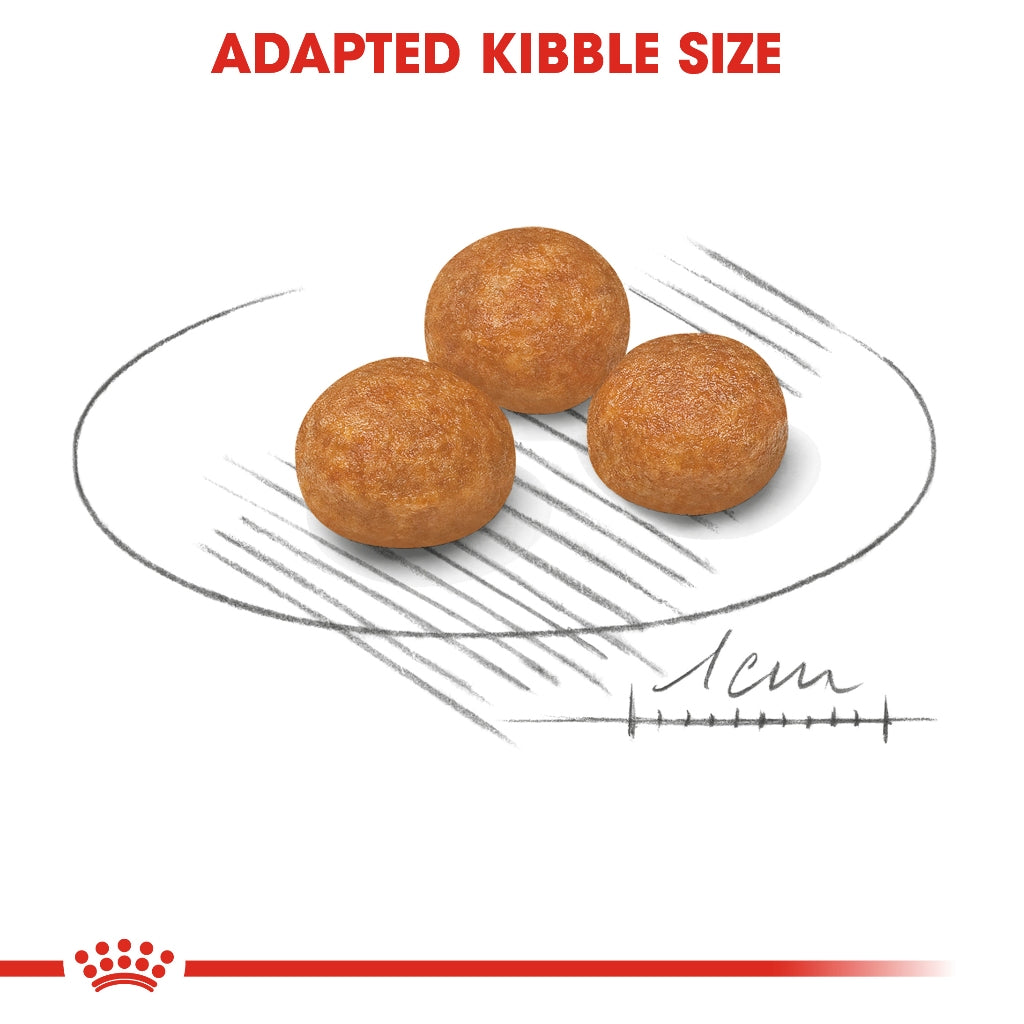 Royal Canin X-Small Adult 1.5kg/3KG Dry Dog Food
