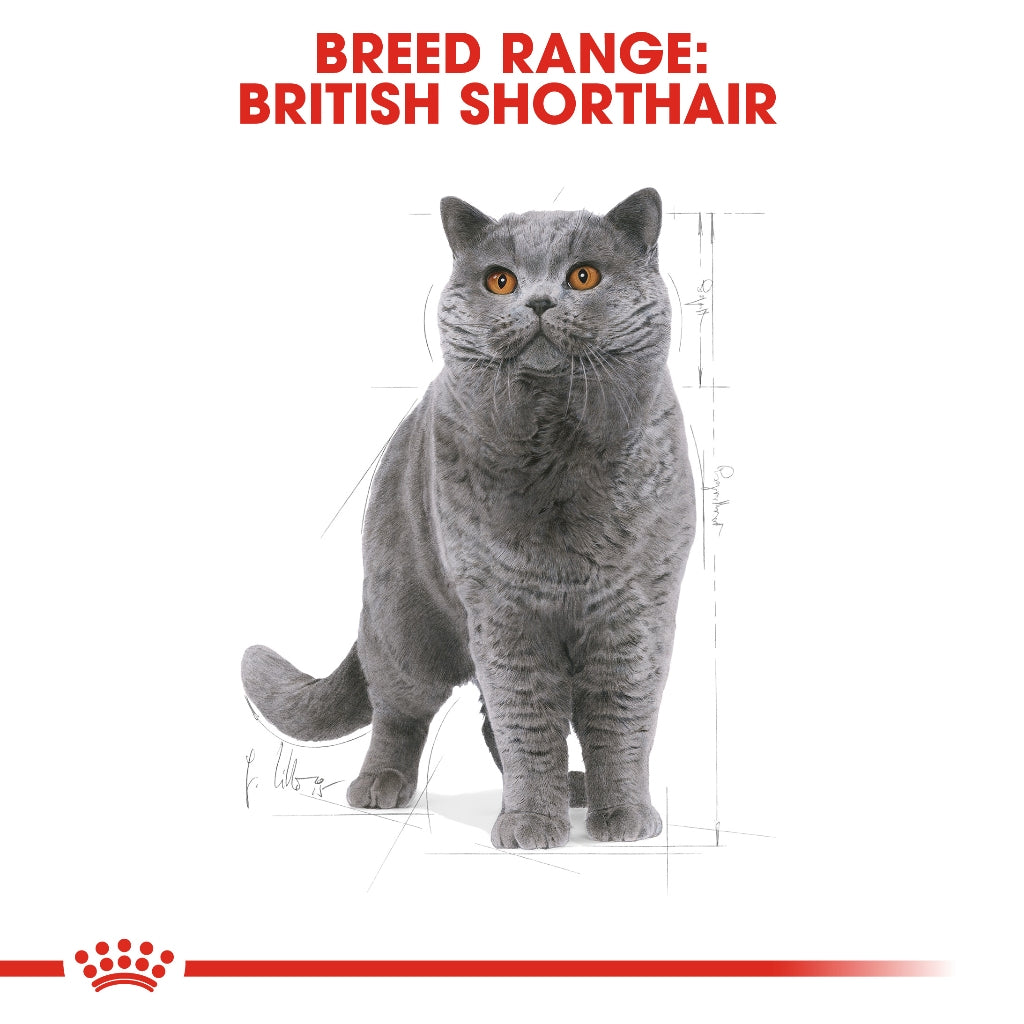 Royal Canin British Shorthair Dry Adult Cat Food 2KG/4KG