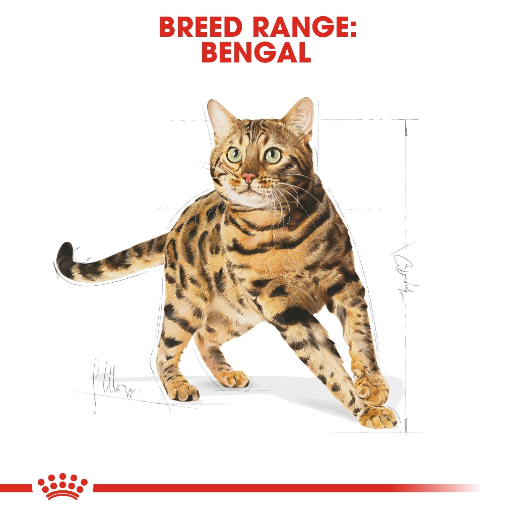 Royal Canin Bengal Adult (2kg) Dry Cat Food