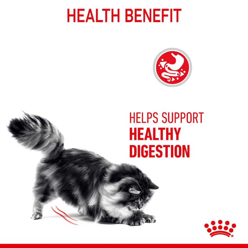 Royal Canin Digestive Care Adult Dry Cat Food 2KG/4KG