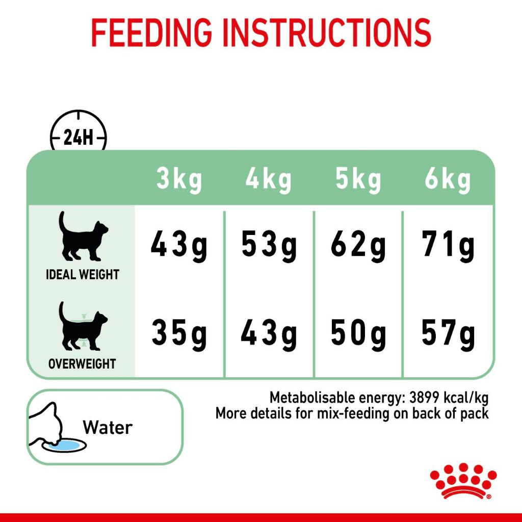 Royal Canin Digestive Care Adult Dry Cat Food 2KG/4KG