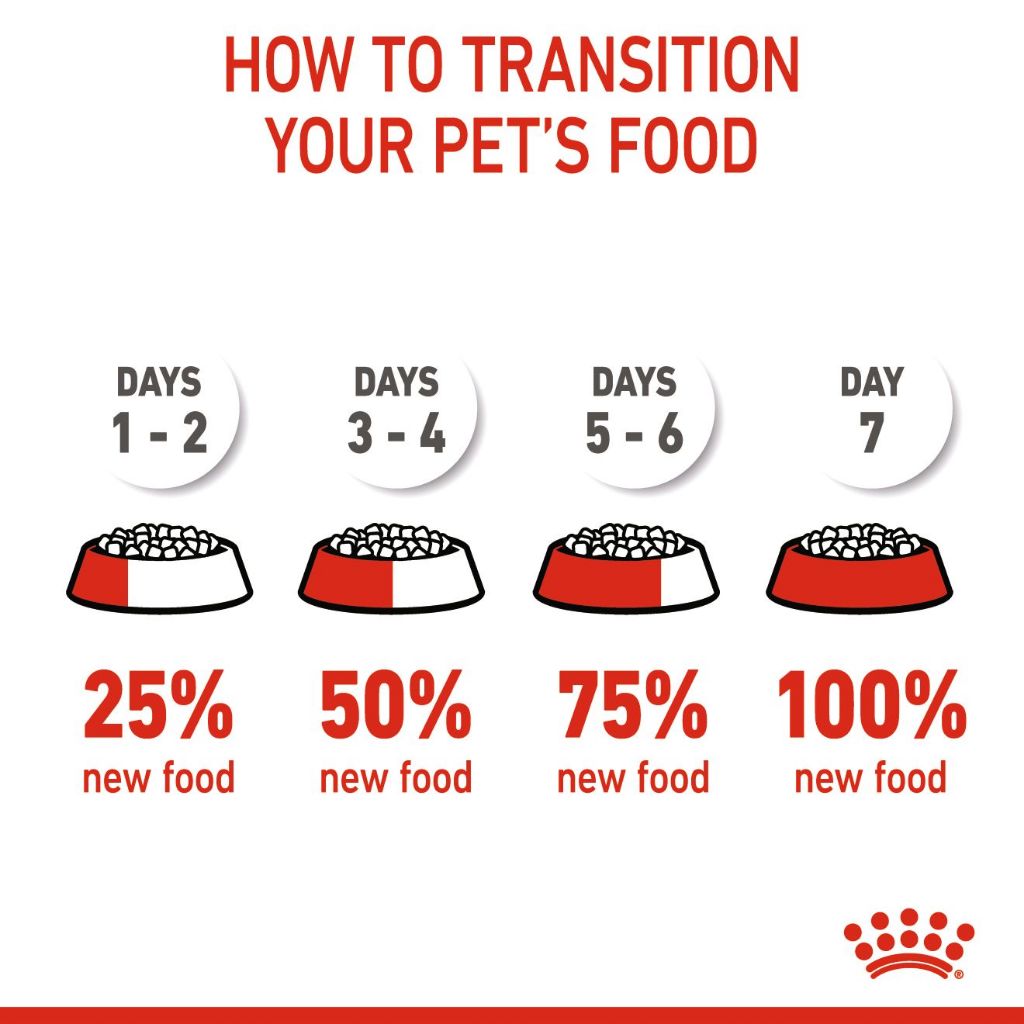 Royal Canin Mother & Babycat 2kg/4KG Dry Cat Food