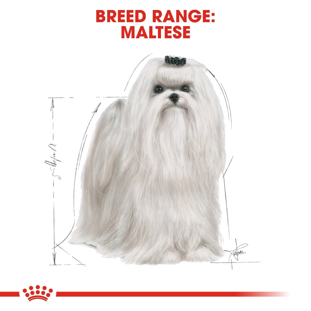 Royal Canin Maltese Breed Health Nutrition Adult Dry Dog Food (1.5kg)